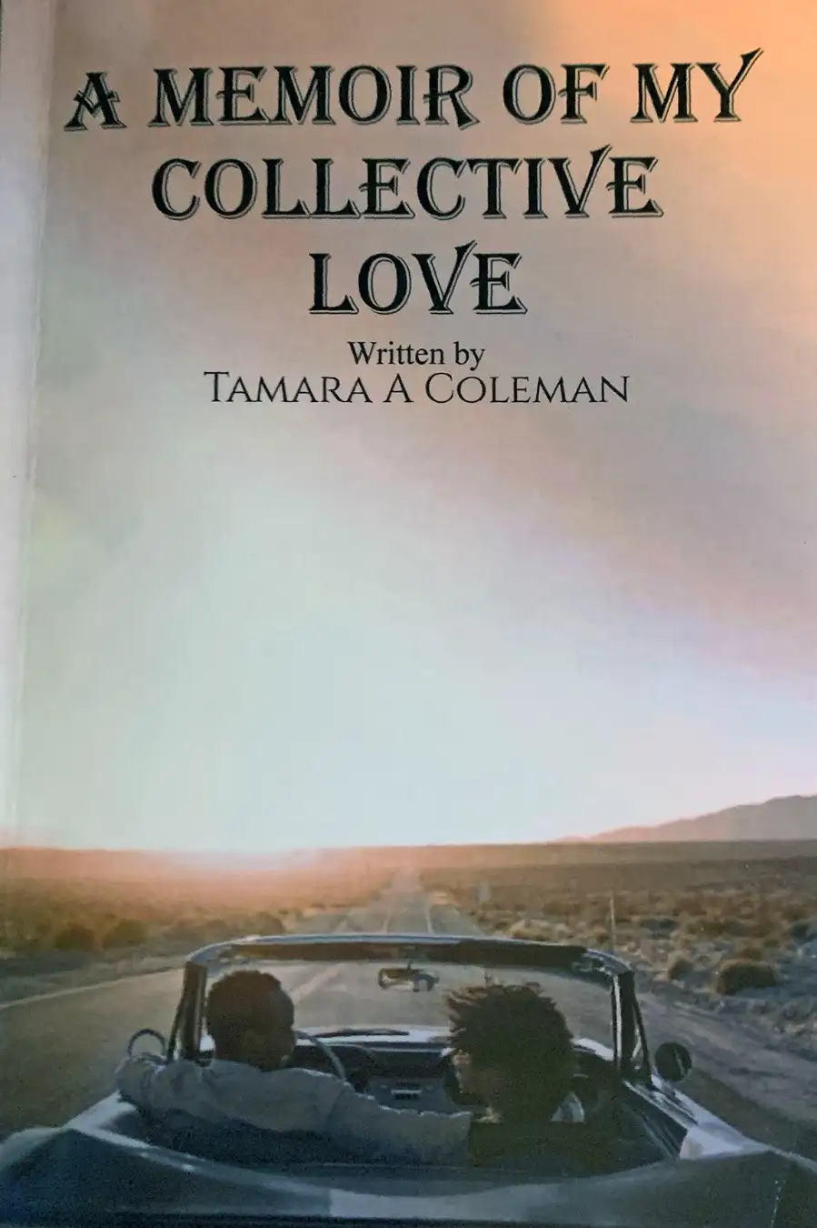 A Memoir of My Collective Love Image